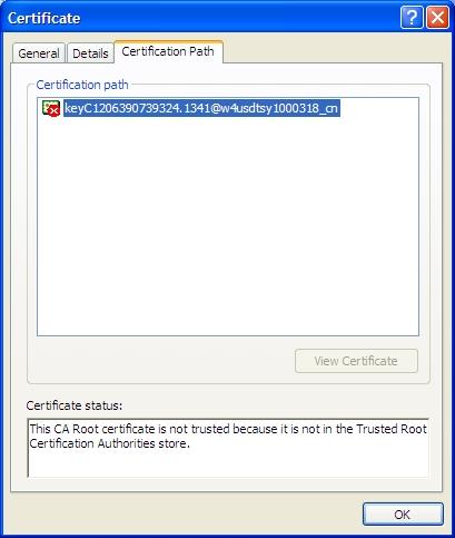Example of Self-Signed Certificate Imported